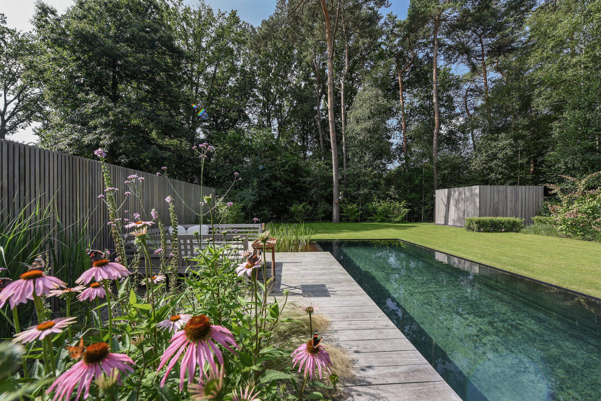 Strakke tuin met zwemvijver
